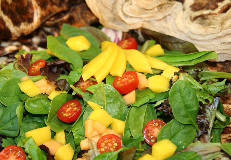 Samoan green salad